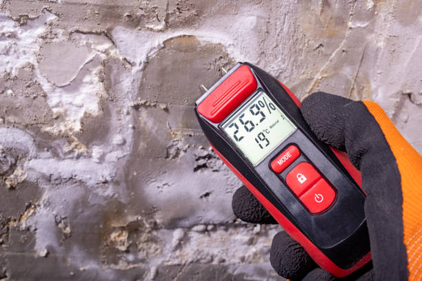 Best Black Mold Removal  in New Cumberland, PA